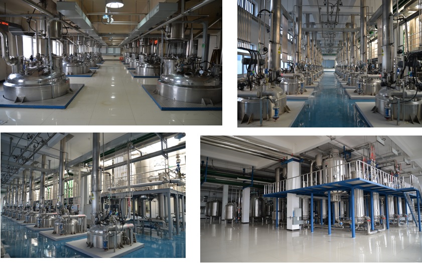 J9集团|国际站官网