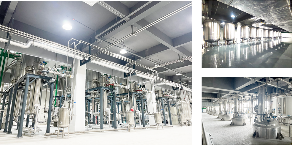 J9集团|国际站官网